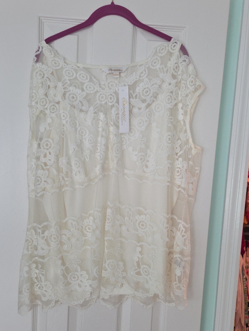 Unknown Brand Cream Lace Overlay Blouse